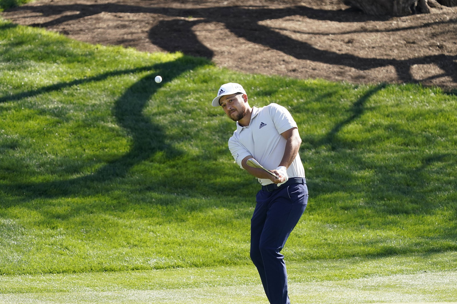 Xander Schauffele joins Rory McIlroy and Tiger Woods in elite PGA Tour club