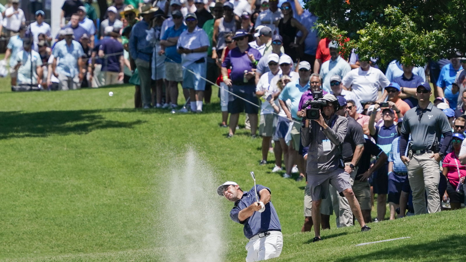 Should TPC Craig Ranch be a PGA Tour venue? Golf fans have their say...