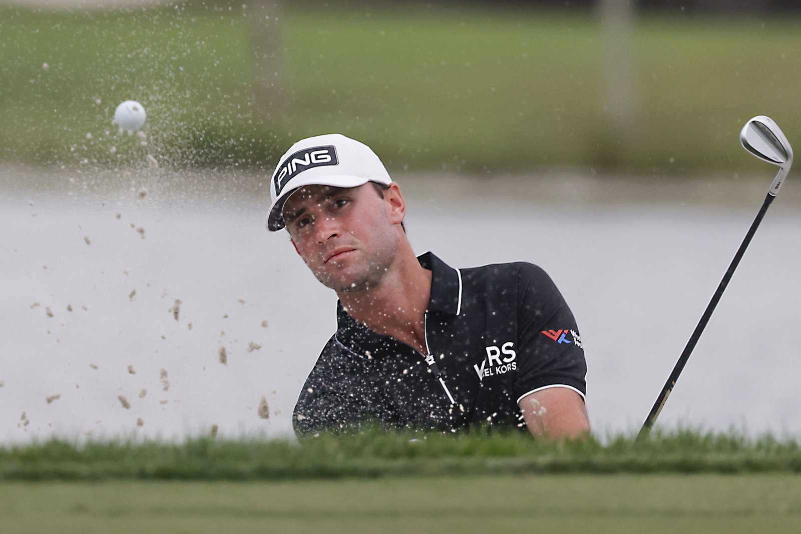 Special report: An interview with Florida Gator Joe Pagdin