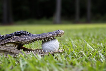 How to practice golf with a purpose