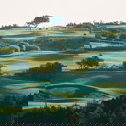 Augusta pair arrested