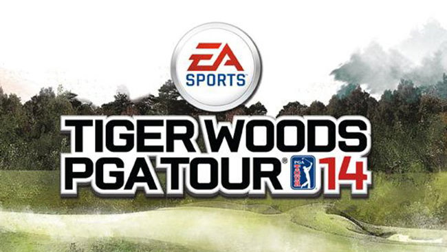 Woods dropped by EA Sports
