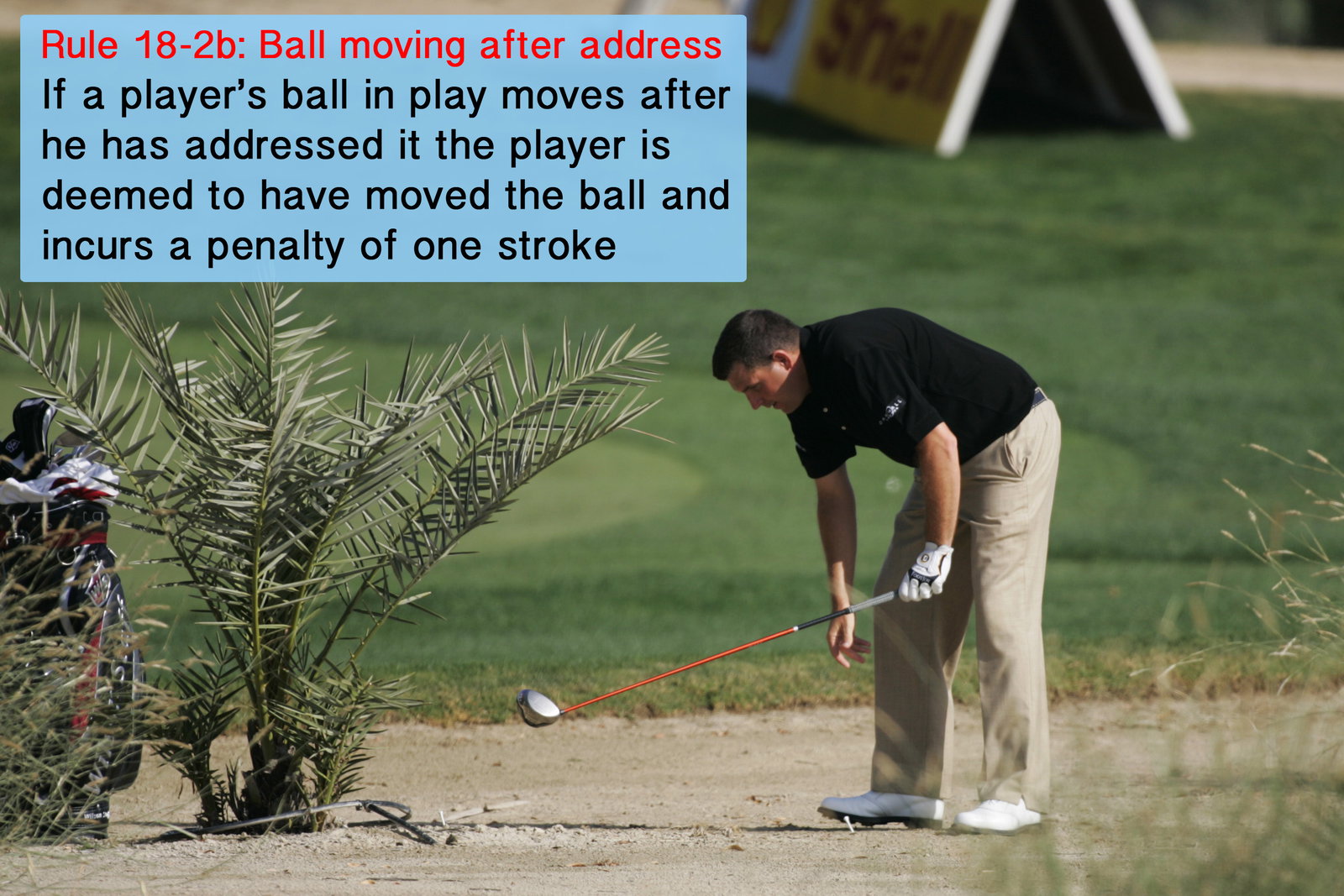Vandals in golf club wrecking spree