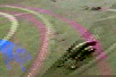 Las Colinas Golf and Country club demonstrates excellence as host to final stage of Q-school