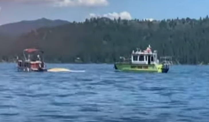 Bryson on cameraman: 