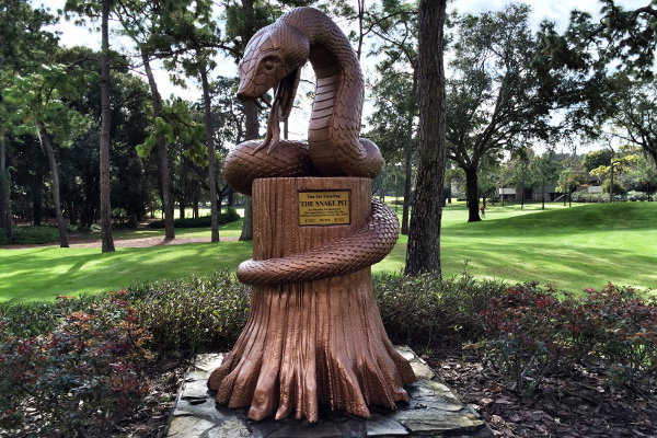 Ford crashes plane, Rory riled, Scott's 'beauties' - Gossip