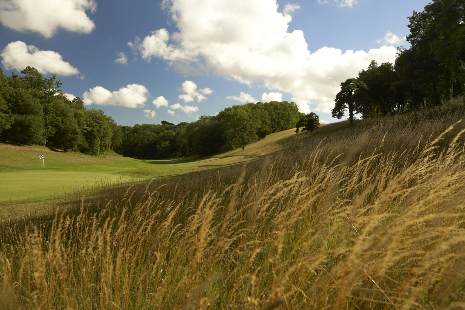 Celtic Manor, Roman Road course: review