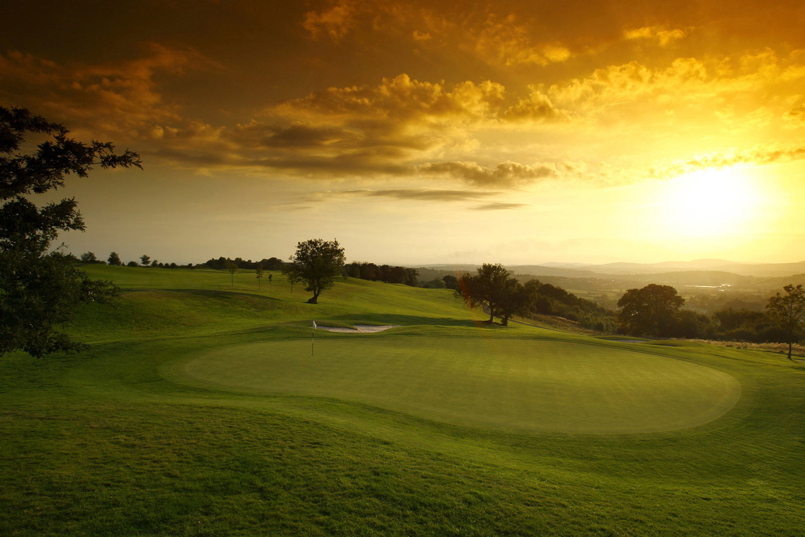 The Grove: course review