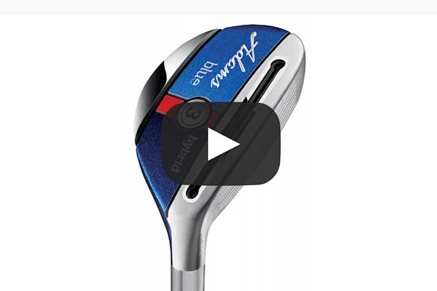 Rory McIlroy: in the bag