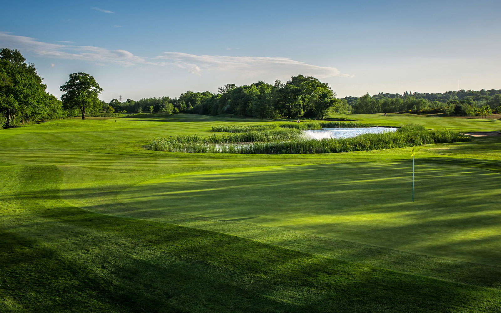 Crail, Craighead Links: review