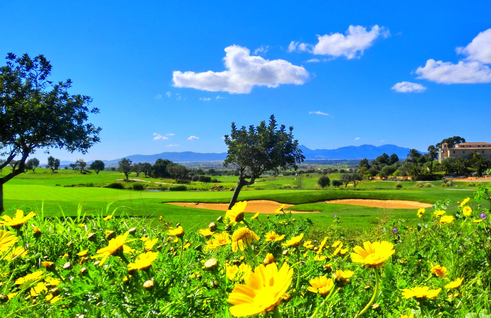 Algarve, Portugal: golf guide