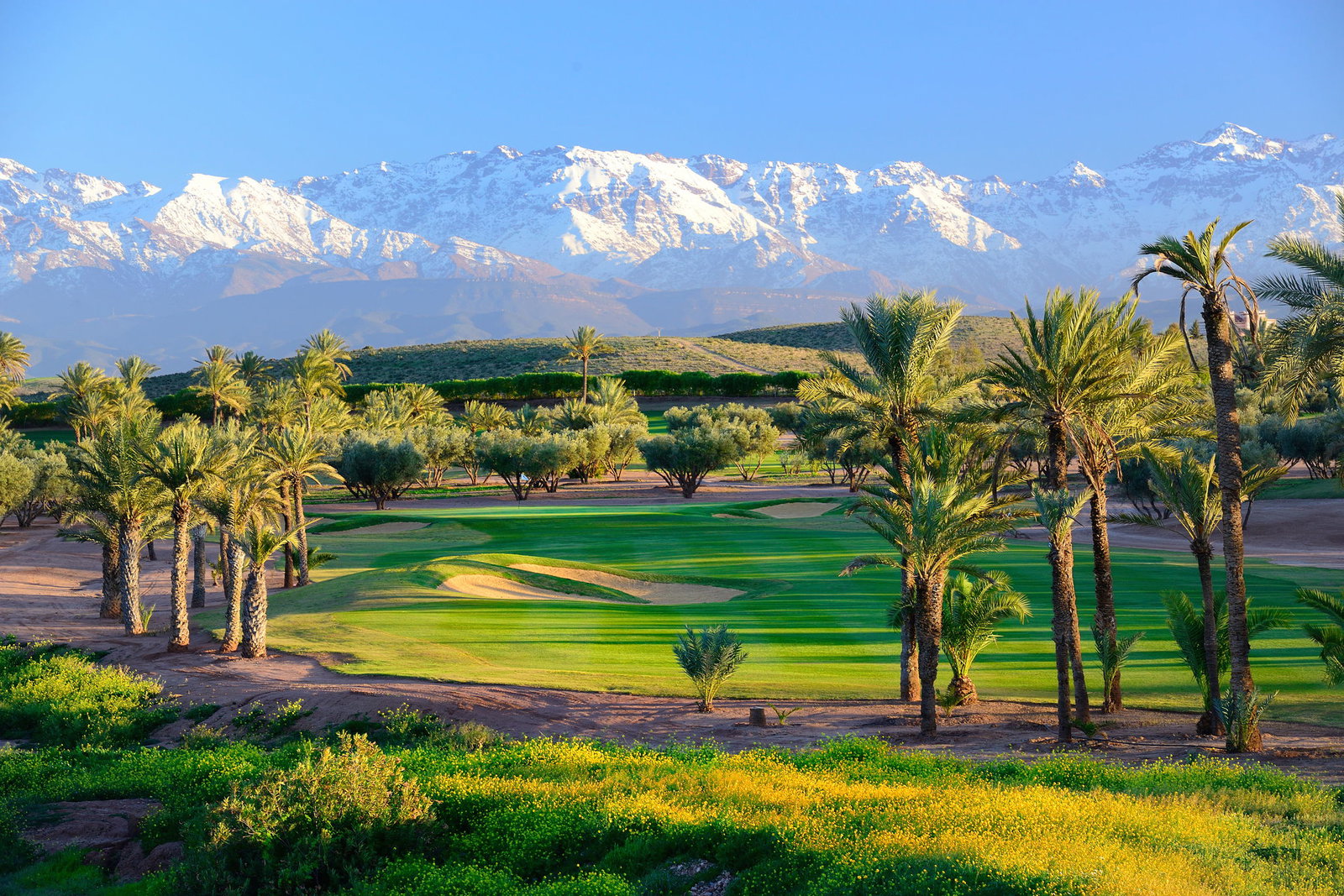 Dubai, Abu Dhabi: golf guide