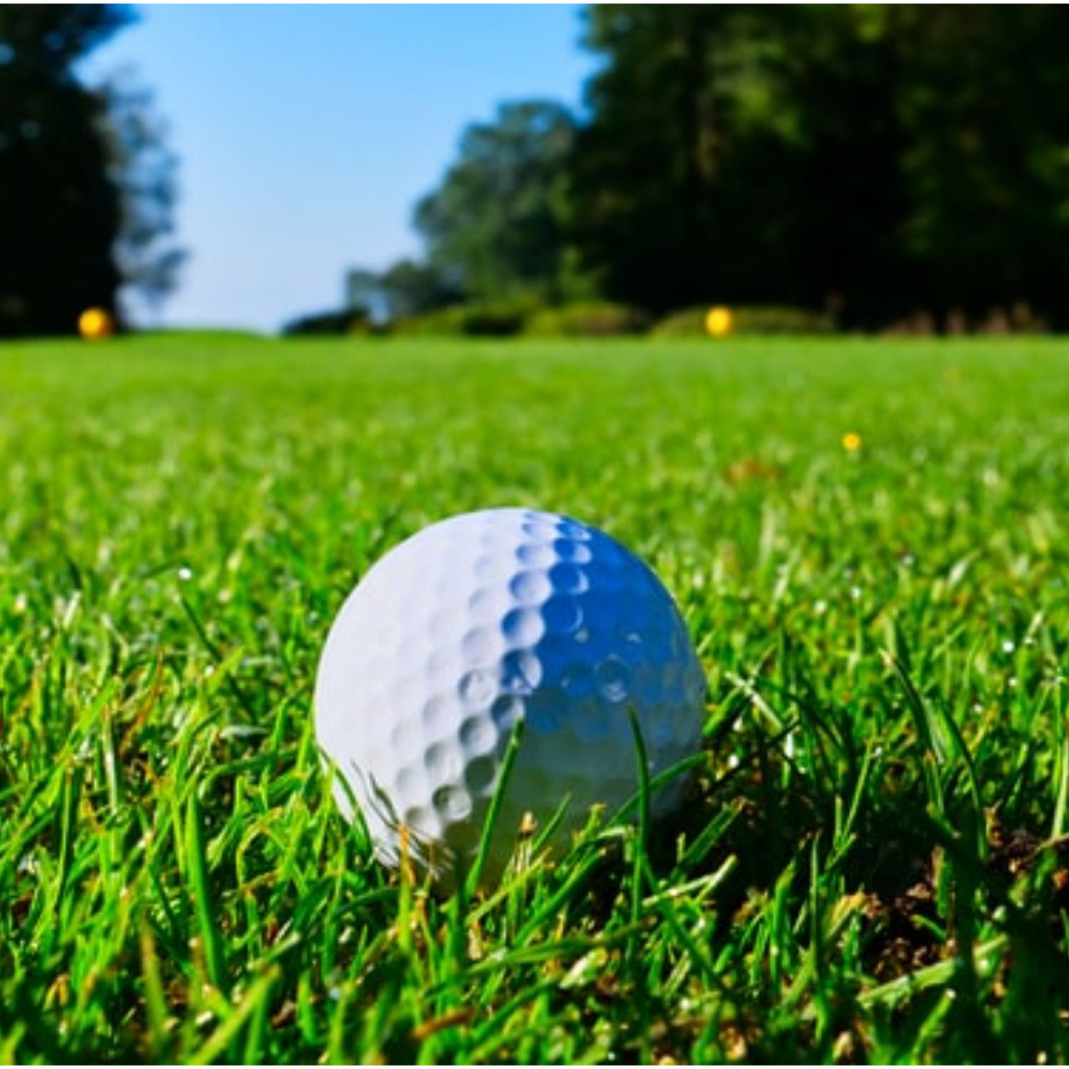 Players owed thousands from mini-tour offering huge prize purses