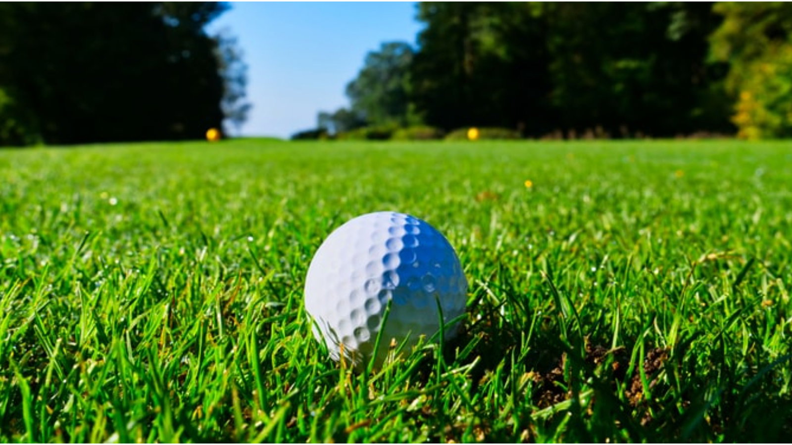 Players owed thousands from mini-tour offering huge prize purses