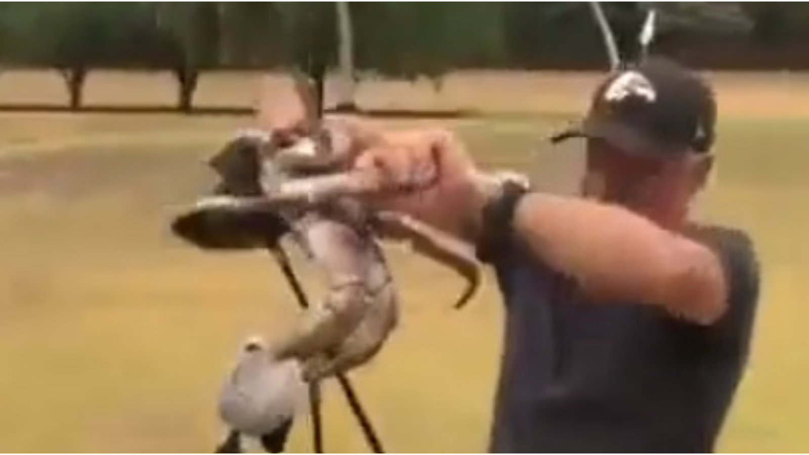 Golf rules: Can I replace my club if a crab snaps it?