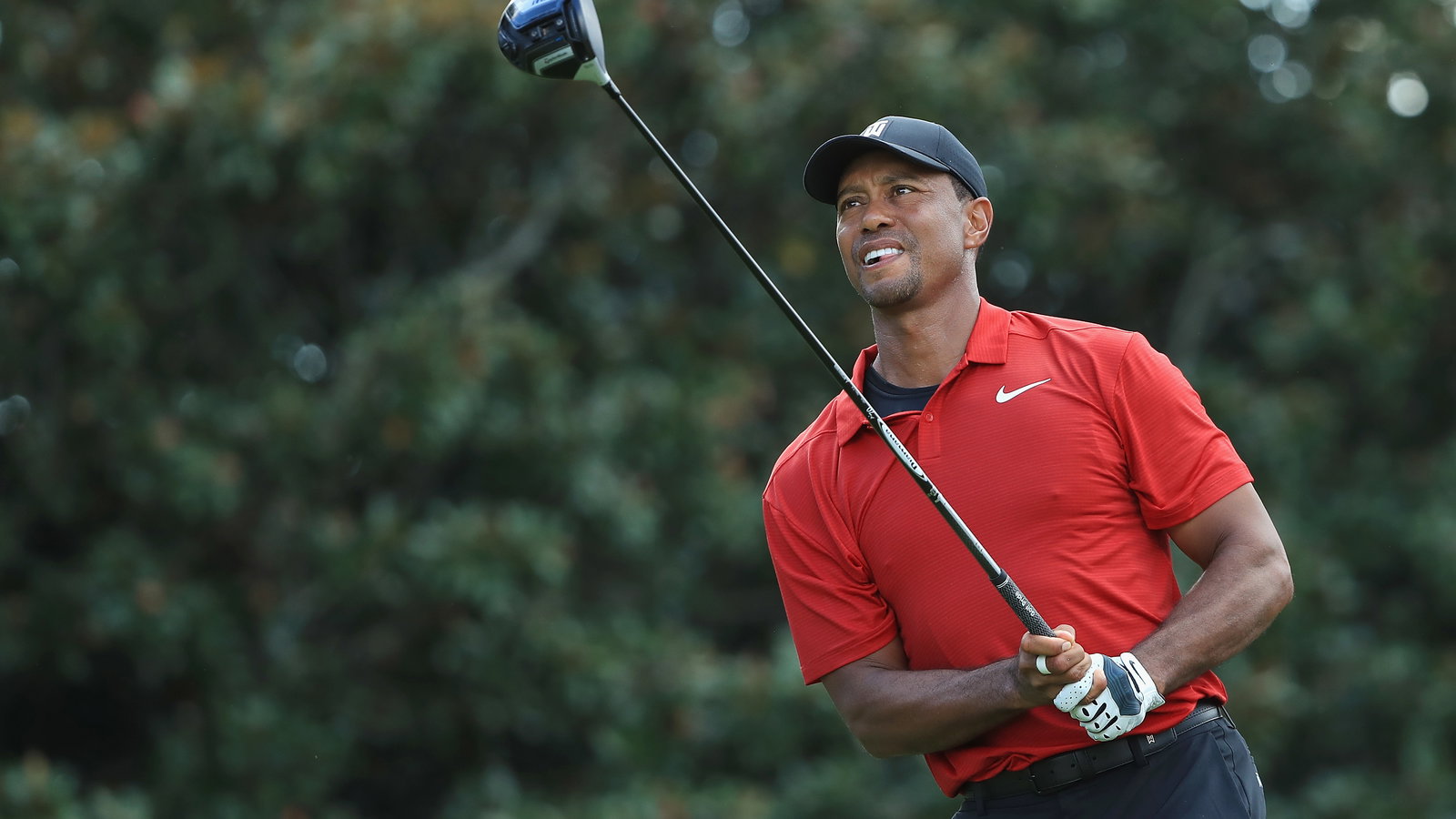 Tiger Woods: the golf clubs as used by the Tour Championship winner