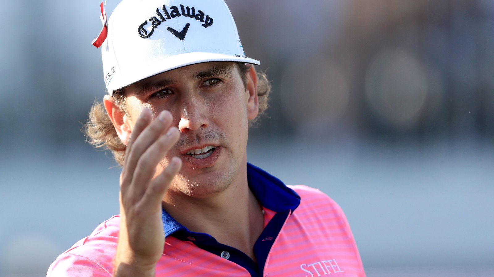 PGA Tour pro hits bird with shot, PETA takes side of the bird (obviously!)