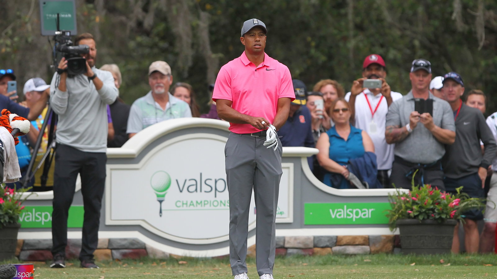 Tiger Effect: You won't believe the third round TV ratings at Valspar!
