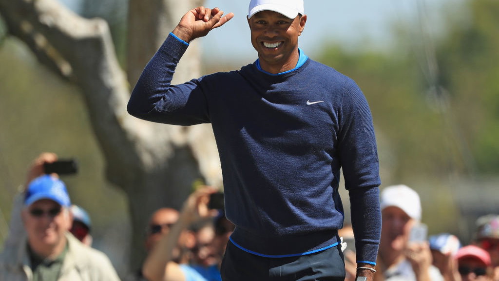 Fan sends fruit basket to doctor that sorted out Tiger's back