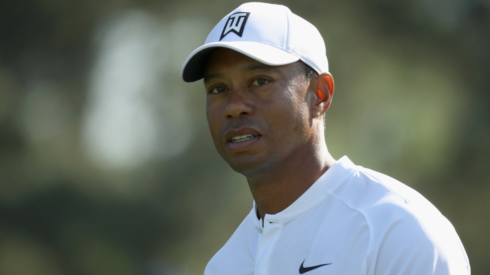 Tiger Woods urges fans to "just kind of slow down" 