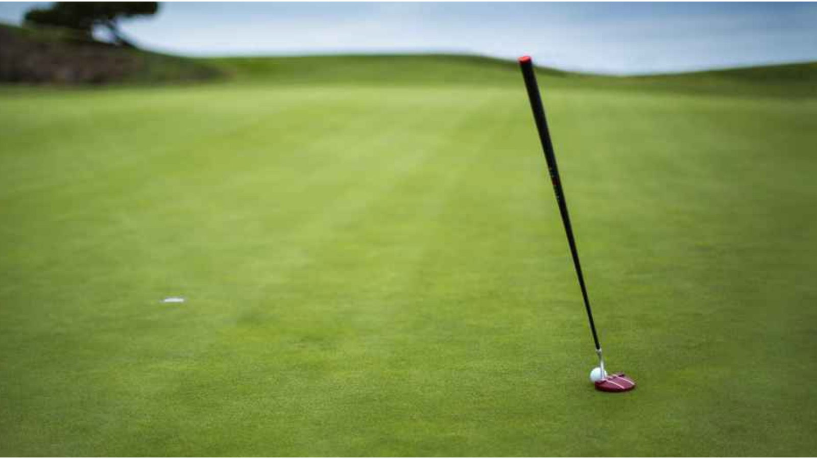 Meet Bloodline Golf: The clever putter that STANDS ALONE on the PGA Tour