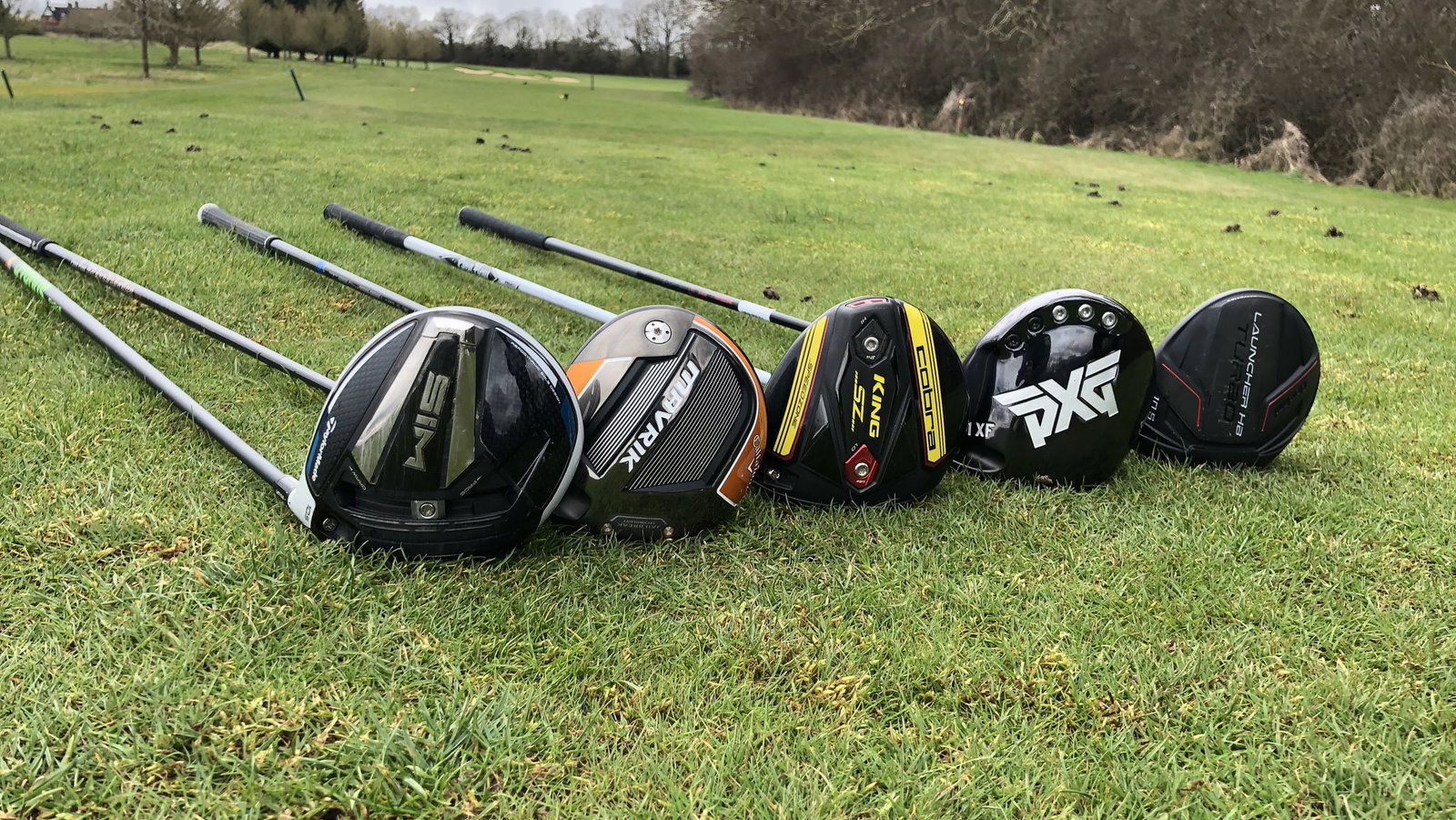 Finding the perfect driver for you