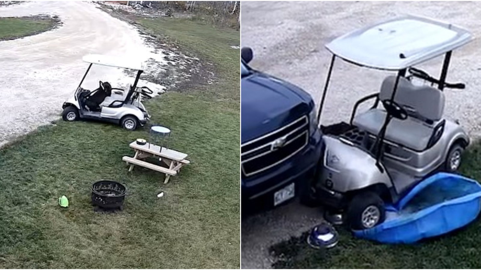 "He's got his paw-visional licence": Dog drives golf cart then CRASHES into car