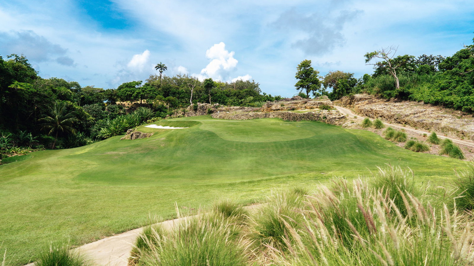 Ron Kirby gives green light to 'Caribbean Masterpiece' at Apes Hill Barbados
