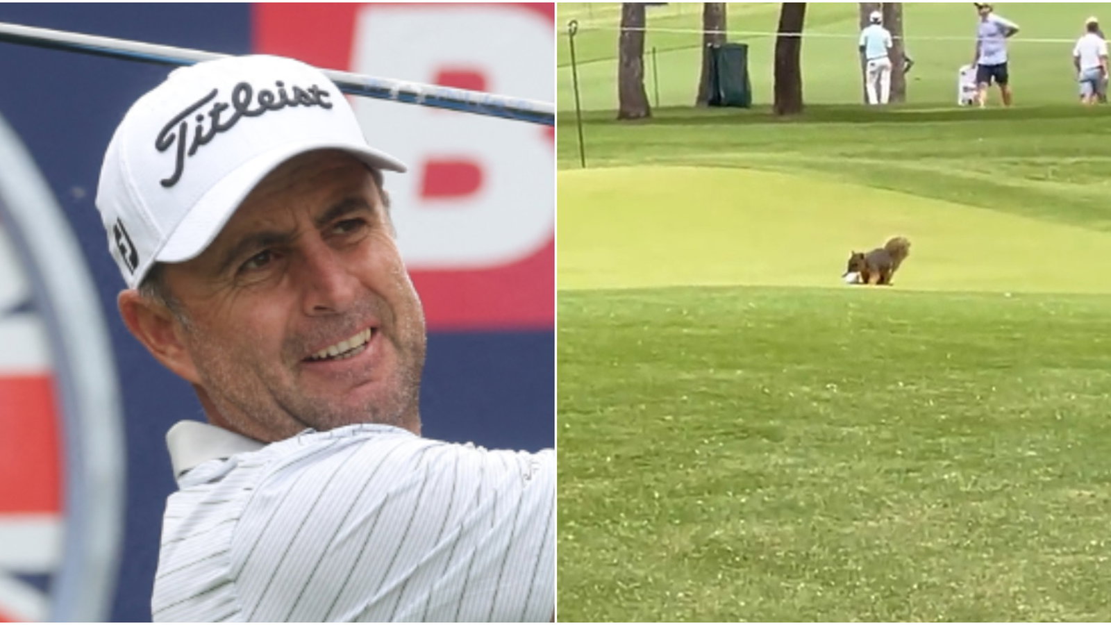 WATCH: Bland's day "summed up" at US PGA after squirrel moves his ball