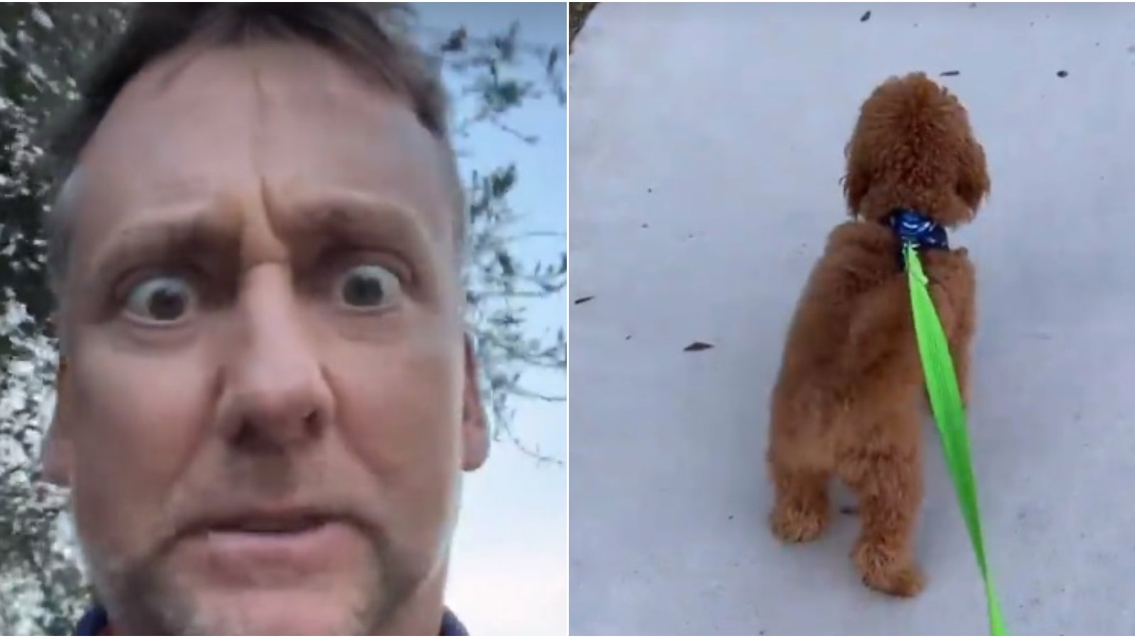 Ian Poulter RAGING over selfish dog owners not picking up mess