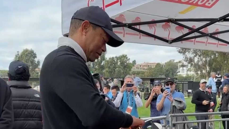 Tiger Woods responds to lady who says: "Not a pickle guy, huh?!"