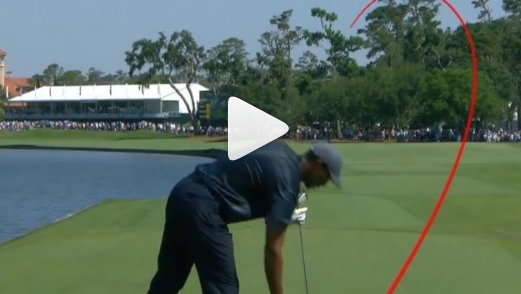 Tiger Woods stinger: The shot the world can't stop watching at The Players