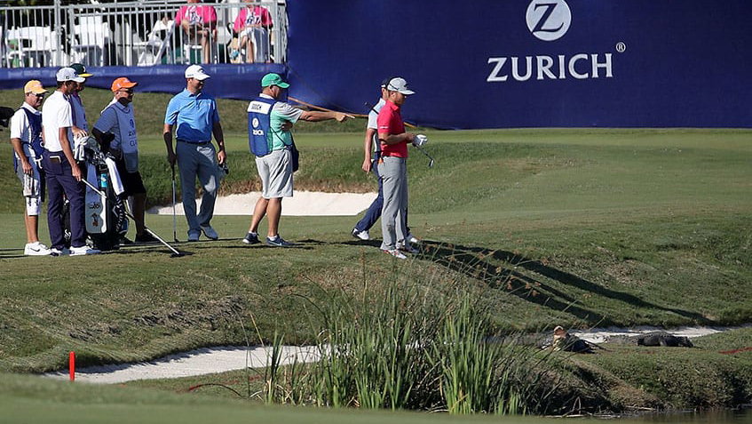 PGA Tour pro chooses "life over a good lie" with gators nearby