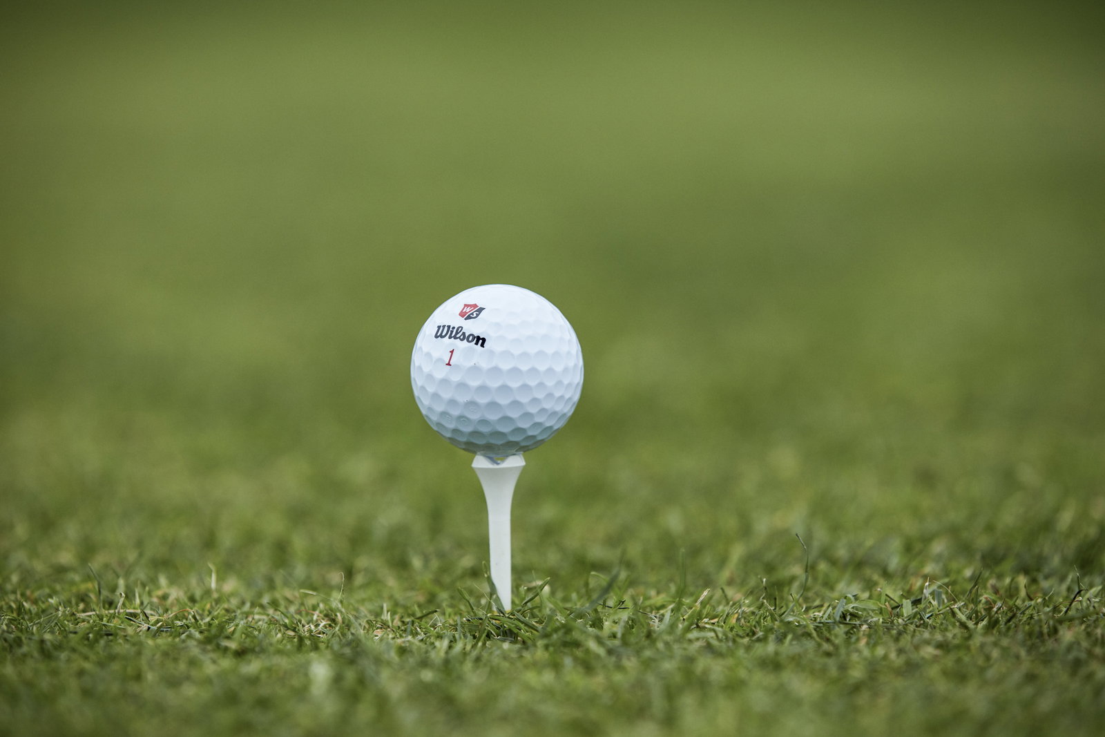 Golf apparel brand Galvin Green announces new CEO
