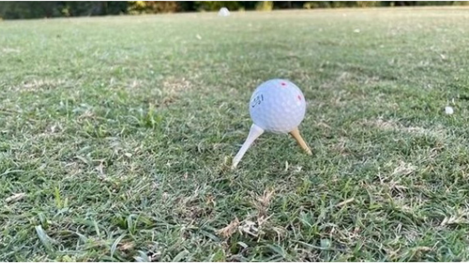Rules of Golf: Can you tee your ball like this? What is allowed in the tee box?