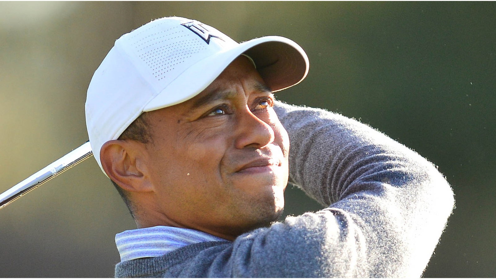 Tiger Woods' yacht is MOORED in Albany, fuelling speculation over appearance
