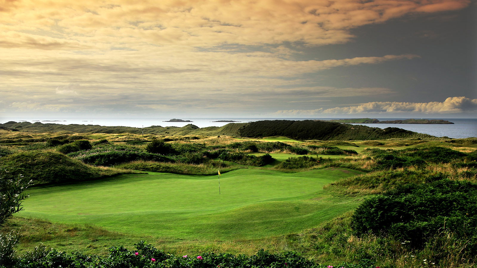Final day tickets to the 2019 Open are already sold out