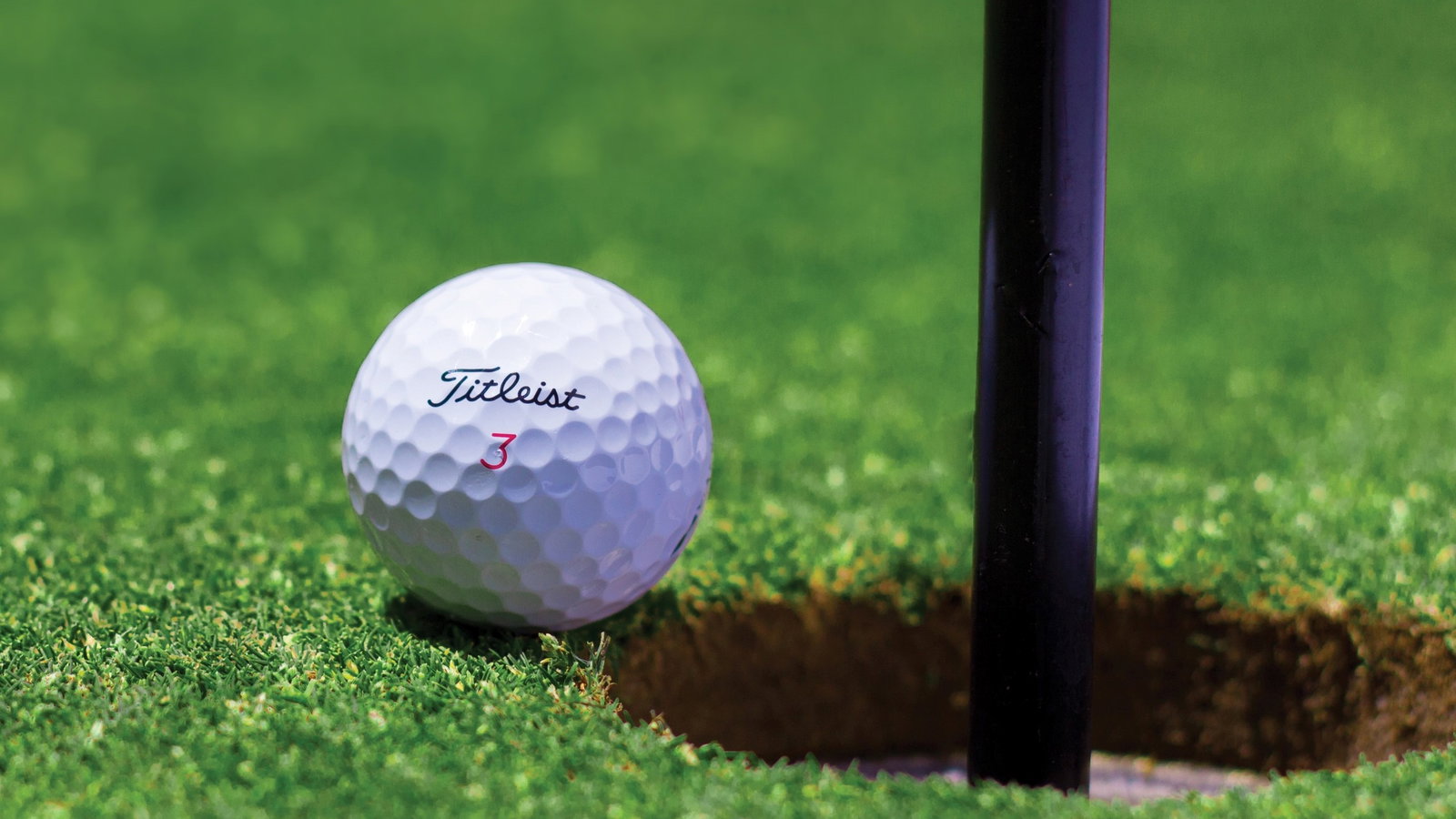 Beetle pushes golf ball into the hole! Here's the official ruling...