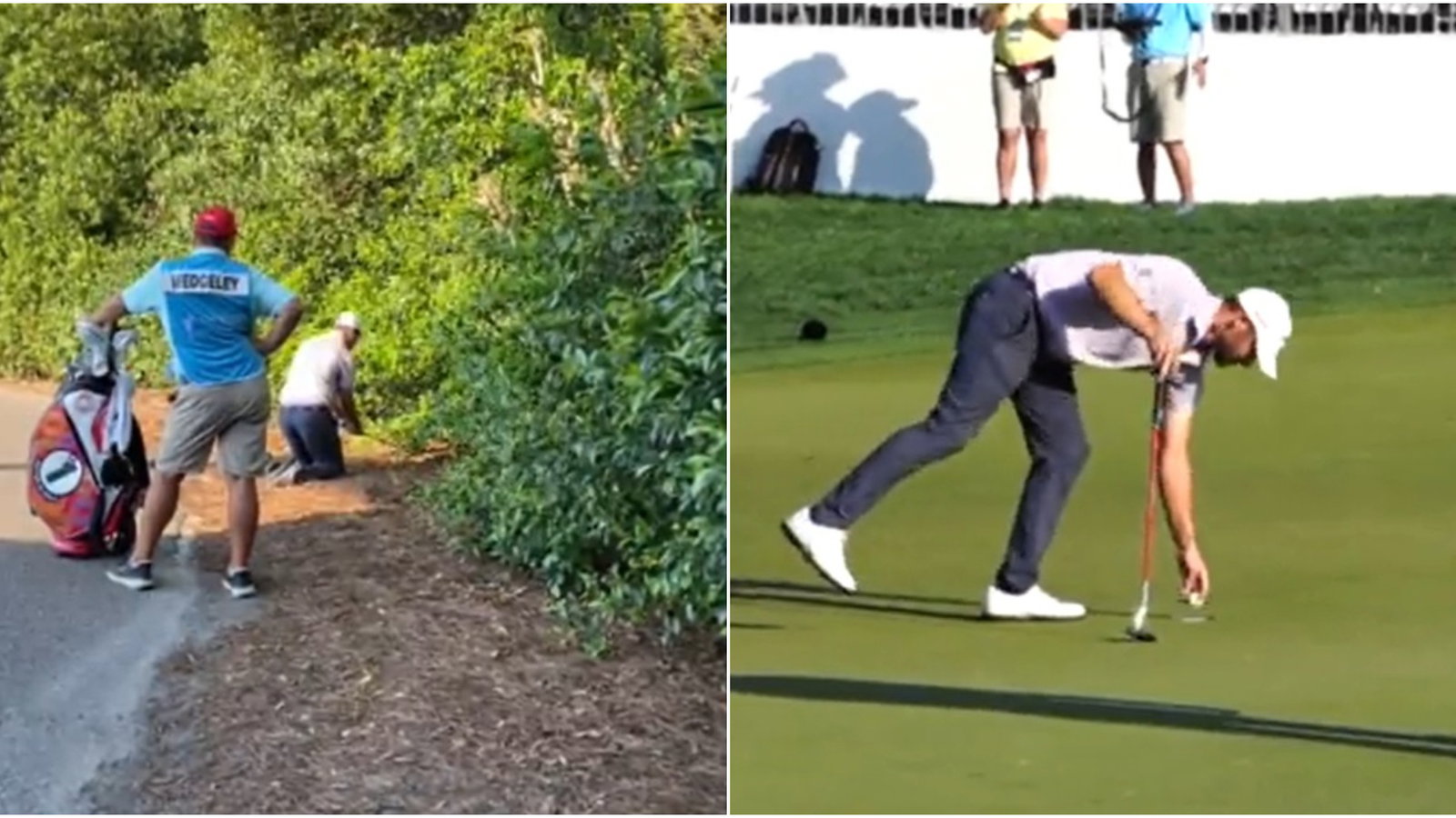 PGA Tour pro, from a bush, keeps dream alive with BONKERS finish