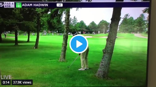 WATCH: Bubba Watson strikes tree, ball nearly hits him in the face!