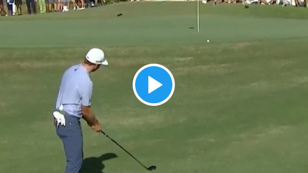 Sam Burns takes FIVE CHIPS en route to disastrous triple-bogey seven