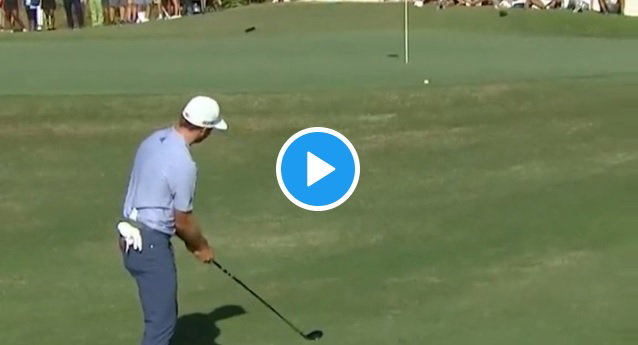 Sam Burns takes FIVE CHIPS en route to disastrous triple-bogey seven