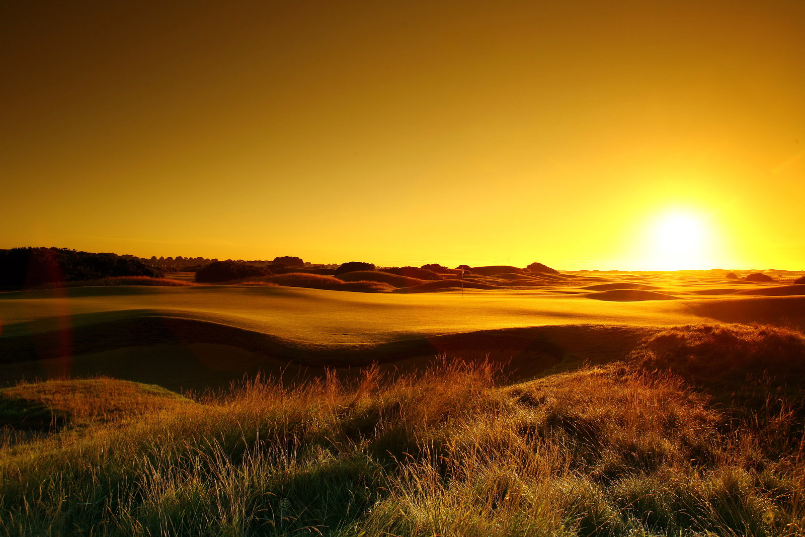 Tell us about your dream golf course and we’ll tell you where you should play next!