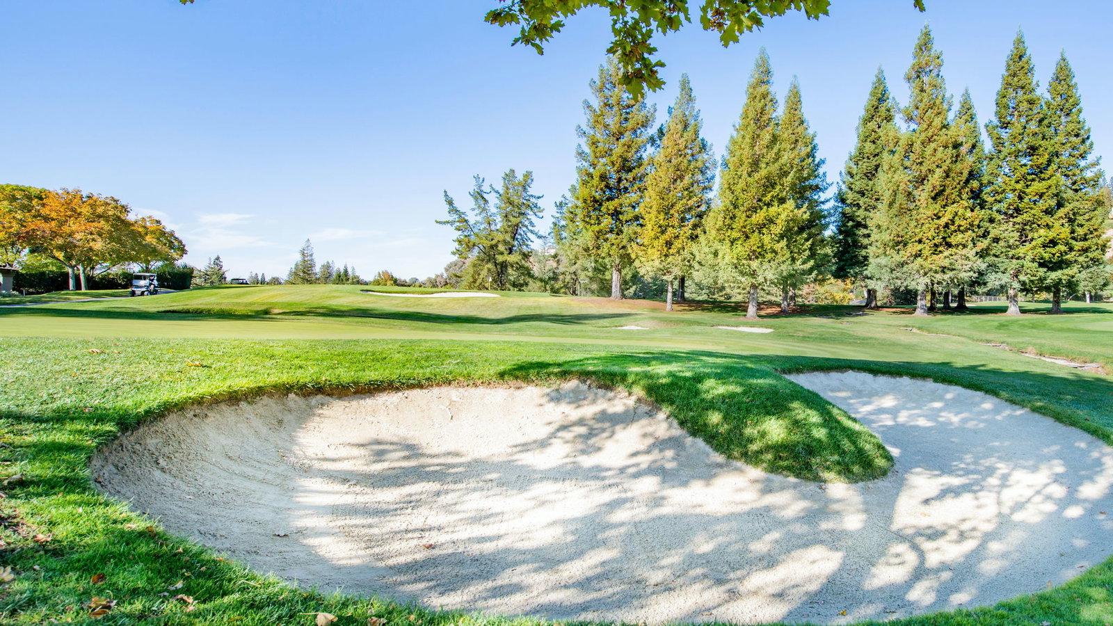 Did you know this rule about TOUCHING SAND on your backswing in a bunker?