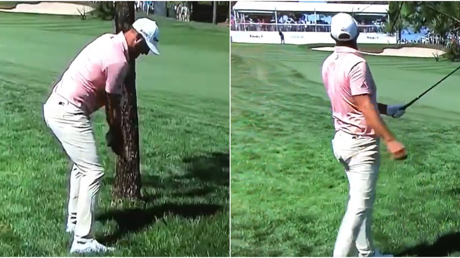 "Went right after it!" Dustin Johnson takes tree shot head-on and wins