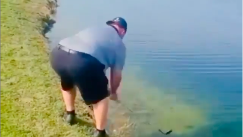 Golf fans react as unfortunate golfer FALLS into a lake