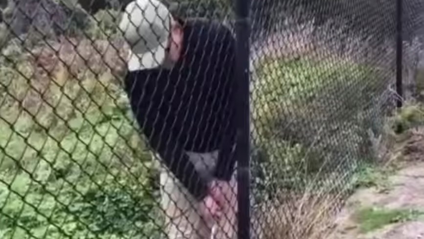 WATCH: Is this a permissible stroke on the golf course?