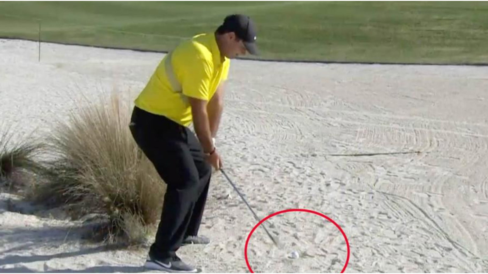 Patrick Reed "CHEATING" scandal in Albany revisited: A trip down memory lane