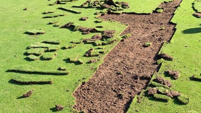 Golf club offering REWARD as vandals tear up greens