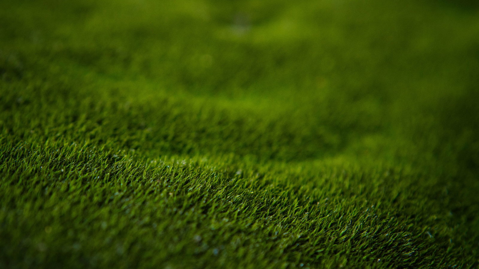 Climate activists fill holes with cement as golf courses avoid water ban